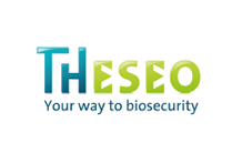 theseo